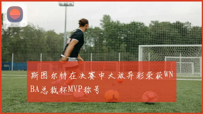 斯图尔特在决赛中大放异彩荣获WNBA总裁杯MVP称号